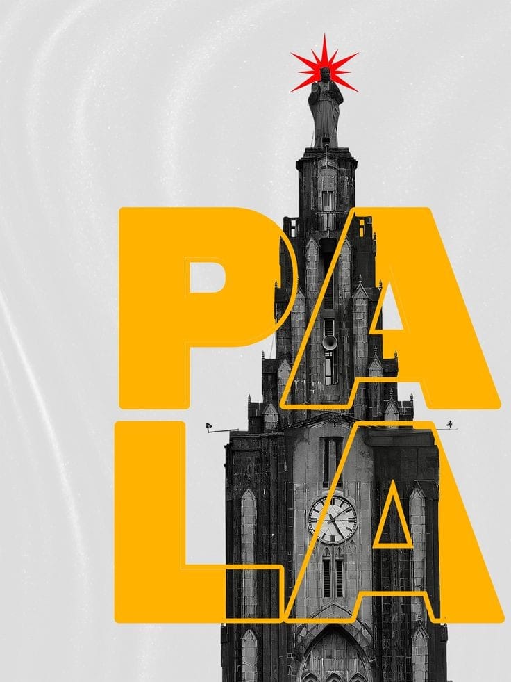 pala baced sweatshirt red colour